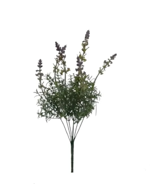 AP-0059 BUQUE LAVANDA