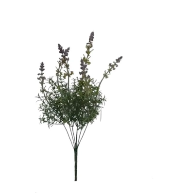 AP-0059 BUQUE LAVANDA