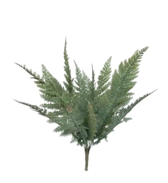 AP-0062 BUQUE SAMAMBAIA FRANCESA