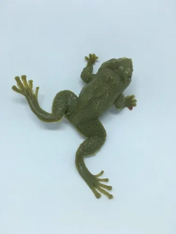 006 SAPO DE BORRACHA PC