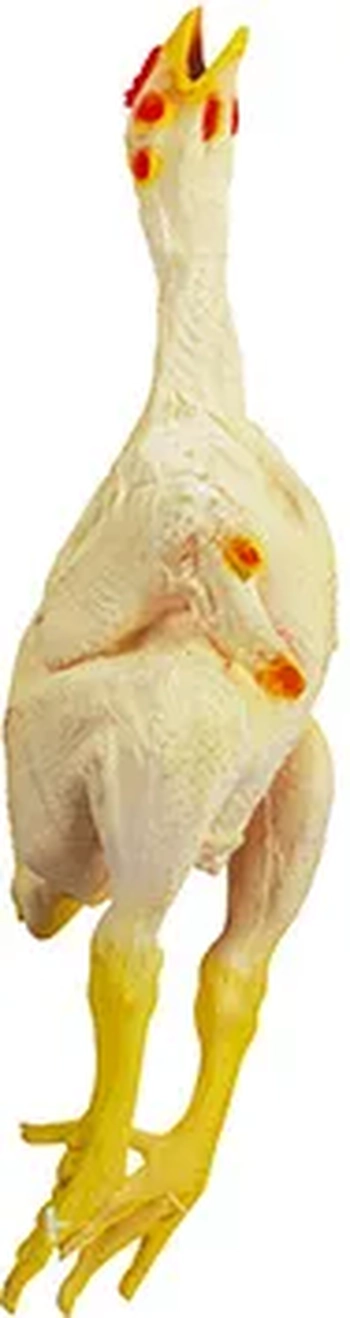 871 CAMINHAO ENCAIXES - SOLAPA