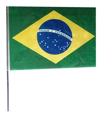 10 BANDEIRAS DO BRASIL PLASTICA 56CMX80CM C/CABO G  C/10