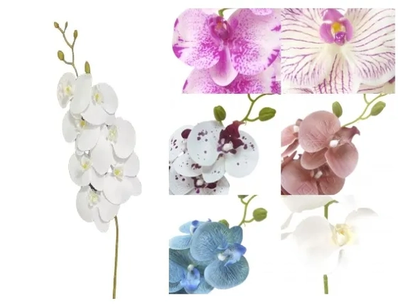 03867 ORQUIDEA TOQ REAL X7 1,05M