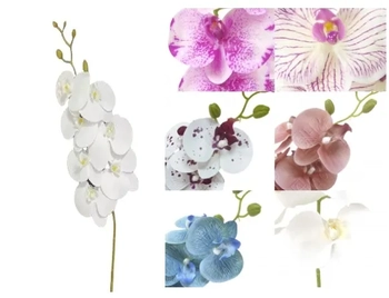 03867 ORQUIDEA TOQ REAL X7 1,05M