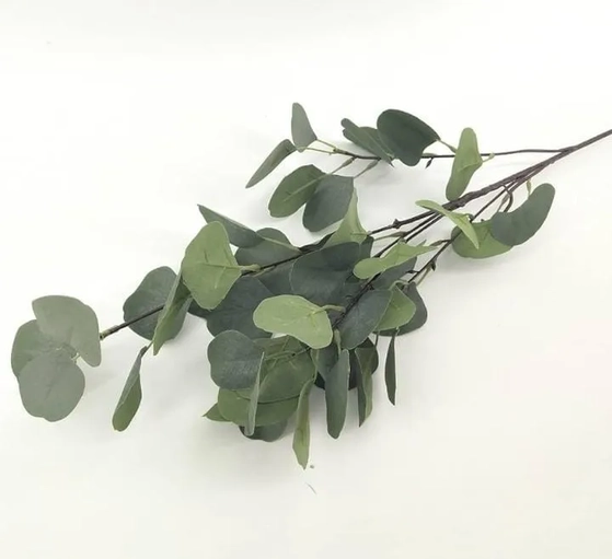 E/0796 GALHO DE FOLHAGEM EUCALIPTO 86CM