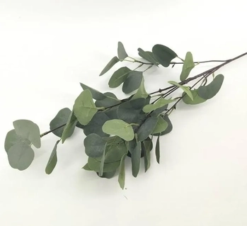 E/0796 GALHO DE FOLHAGEM EUCALIPTO 86CM