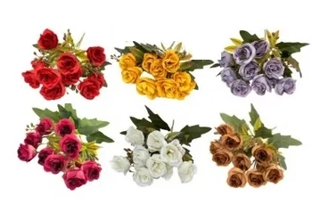 CR-0094 BUQUE DE ROSA