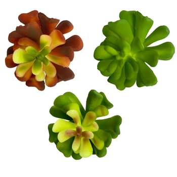 AP-0055 SUCULENTA - 9 CM