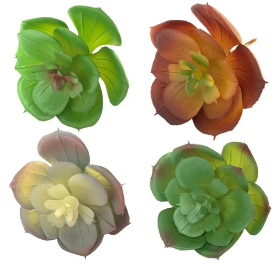 AP-0053 SUCULENTA - 8 CM