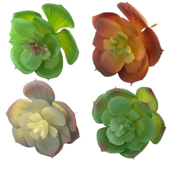 AP-0053 SUCULENTA - 8 CM