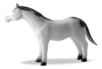 480 CAVALOS DIVERSOS NA CINTA