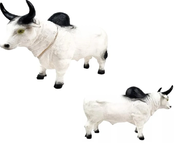 481 TOUROS DIVERSOS NA CINTA