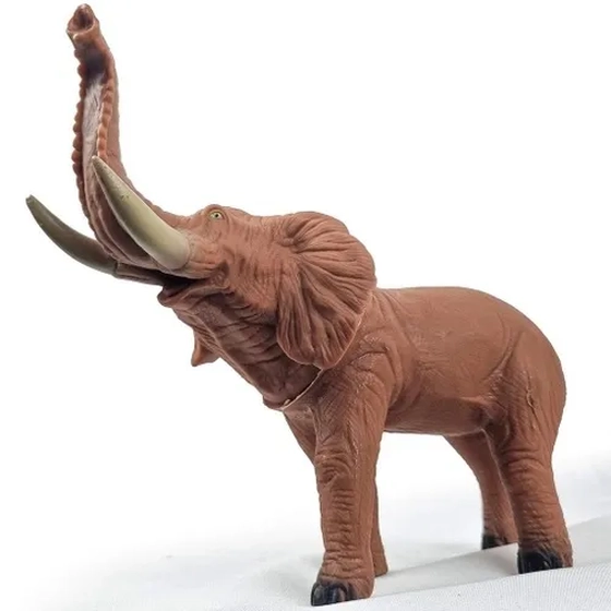 471 ELEFANTE NA CINTA