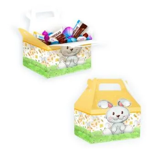 1396 CAIXA MALETA KIDS II SEM VISOR C/05