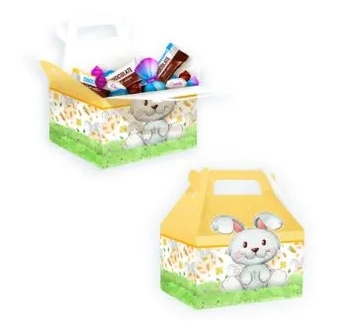 1396 CAIXA MALETA KIDS II SEM VISOR C/05