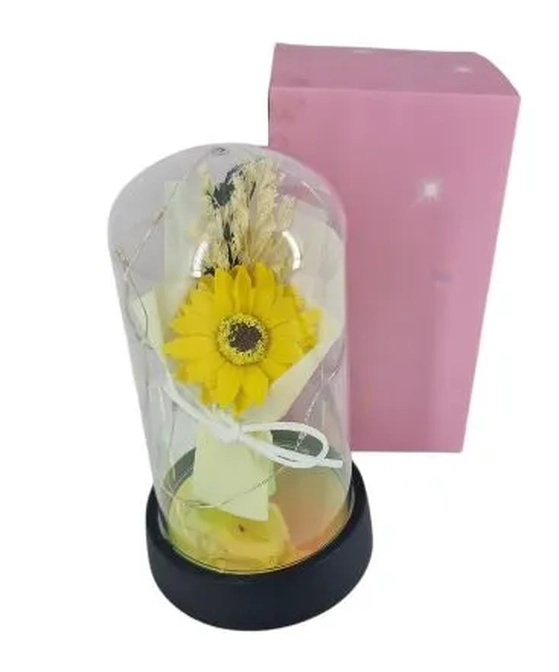 ASH-82.0244 CUPULA DE ROSA C/LUZ 21CM