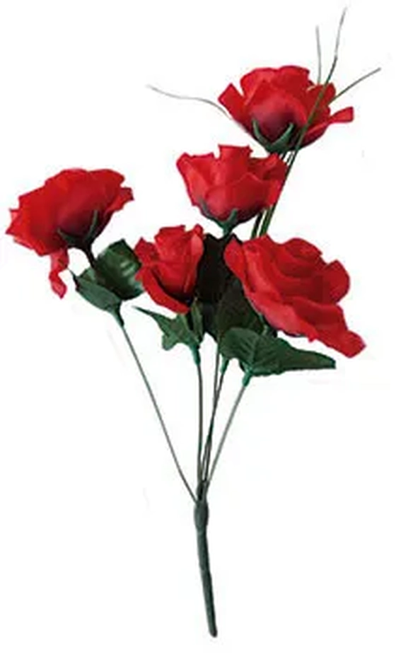 07121 BOTAO C/5 31CM