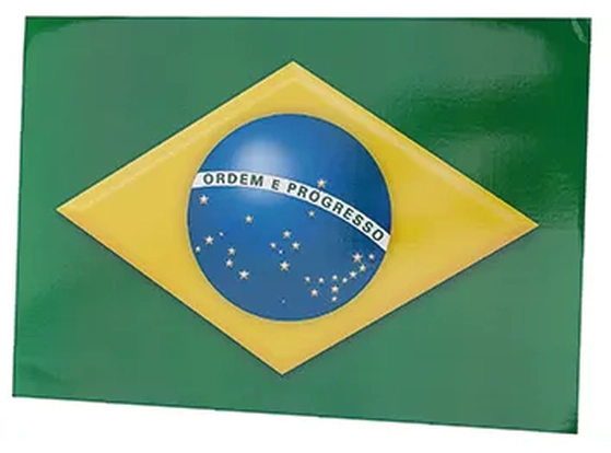 260 KIT BANDEIRA C/2