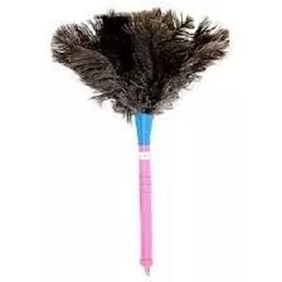 165 ESPANADOR PENA  25