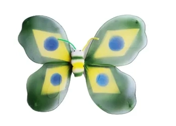 CP508 ASA BORBOLETA BRASIL