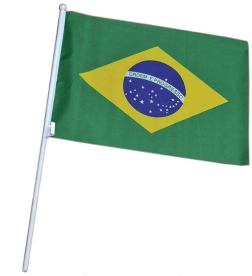 CP972 BANDEIRA TECIDO DE MÃO 30X45 C/HASTE