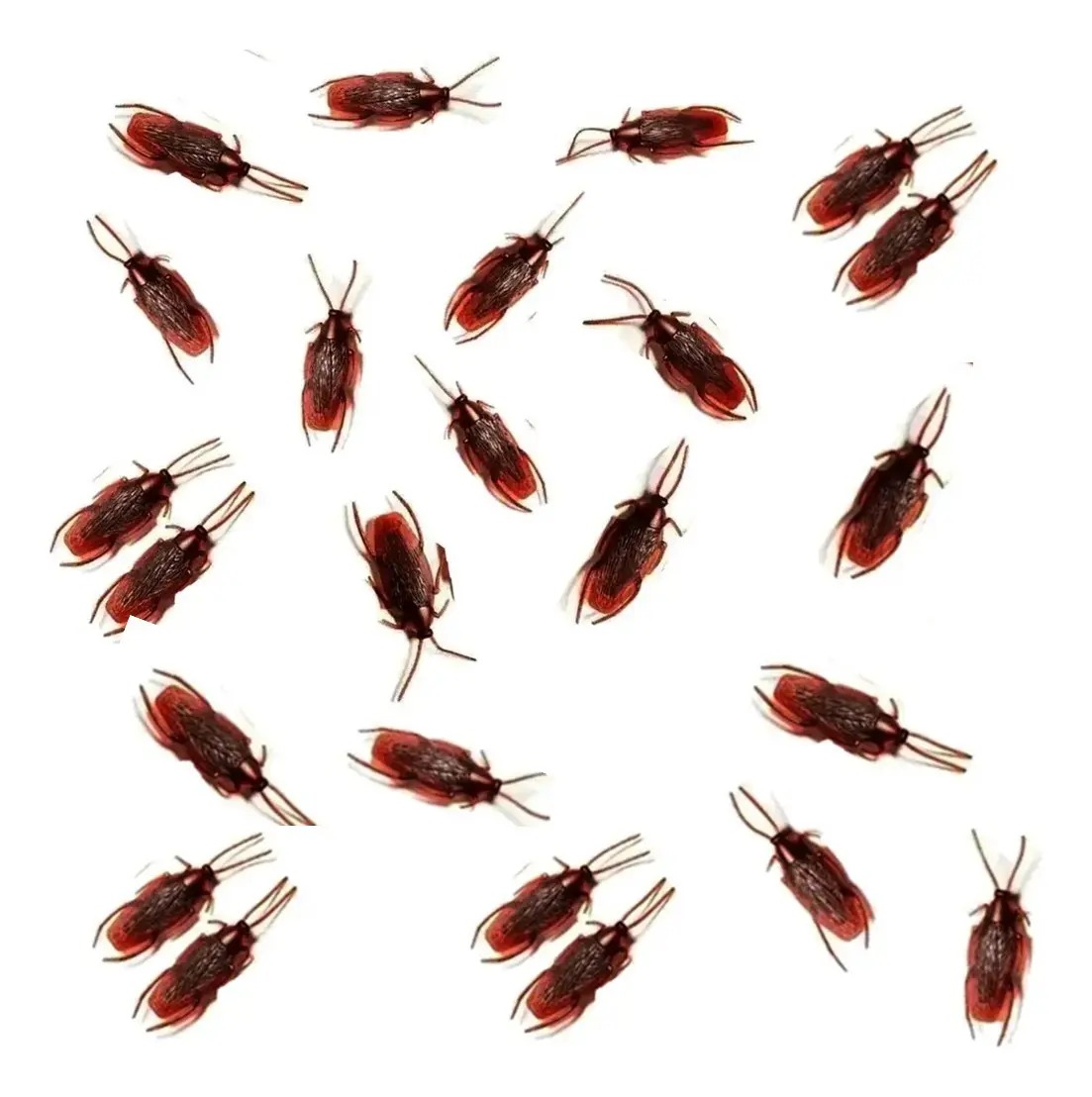 928949 ENFEITE BARATA C/24 PEÇAS