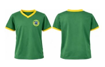 VER-P FEM CAMISA FEMININA GOLA V VERDE P