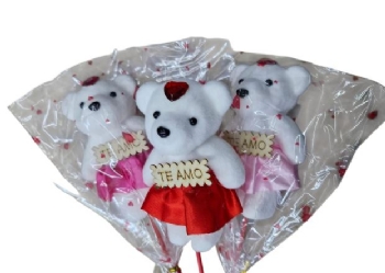 ASH-82.0154 ENFEITE FLOR/URSINHO